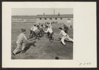 [recto] Young center Niseis are football enthusiasts. Here during lunch hour, employees in administrative offices choose up sides and have a rousing half hour of touch. ;  Photographer: Parker, Tom ;  Amache, Colorado.