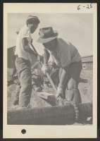 [recto] Young volunteer workers, residents at the Topaz Relocation Center, completing the water mains. ;  Photographer: Parker, Tom ;  Topaz, Utah.