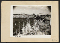 [recto] Tule Lake, Newell, Calif.--Drainage ditch near the War Relocation Authority center which is being established to house 10,000 evacuees of Japanese ancestry for the duration. ;  Photographer: Albers, Clem ;  Newell, California.