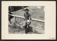 [recto] Roy Kaneda in the assembly center which is situated on the outskirts of his home town. He is continuing his high school studies with other boys at the assembly center. ;  Photographer: Lange, Dorothea ;  Stockton, California.