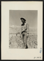 [recto] Manzanar, Calif.--Johnny Fukazawa, foreman of fields 3, 4, 5, and 6 of the farm project, heads a 20-man crew. He formerly attended the Agricultural College at Davis and is the only Nisei in his gang. ;  Photographer: Lange, Dorothea ;  Manzanar, Calif