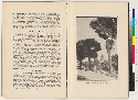 pages 20-21