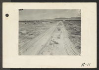 [recto] Parker [Poston], Ariz.--View of partially developed site of War Relocation Authority Center for evacuees of Japanese ancestry on the Colorado River Indian Reservation. ;  Photographer: Albers, Clem ;  Poston, Arizona.