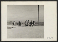[recto] 5:00 P.M. and the administrative office workers trek home to their barracks. ;  Photographer: Parker, Tom ;  Amache, Colorado.