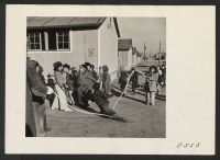 [recto] Primary school children jumping rope during a recess period at the temporary school grounds. ;  Photographer: Parker, Tom ;  Amache, Colorado.