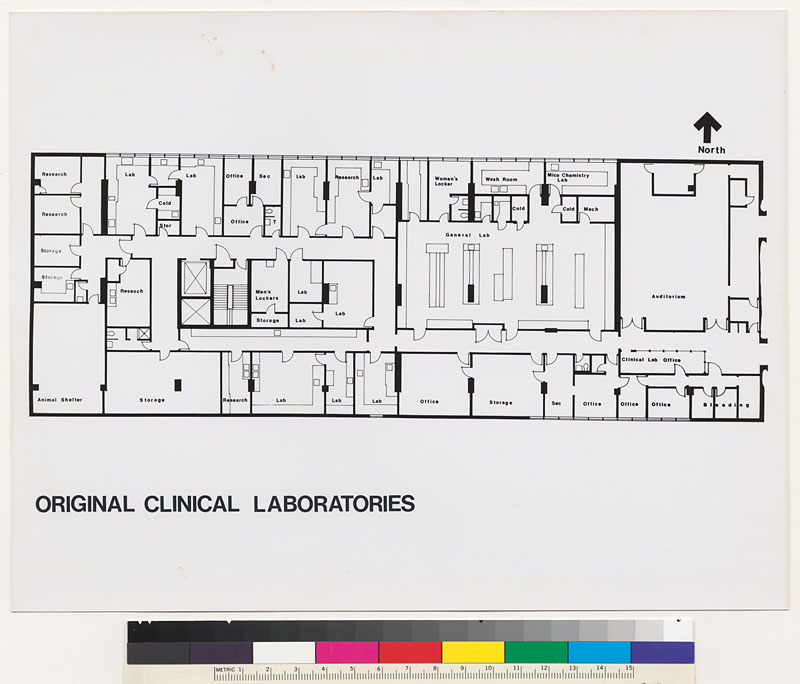 Mt. Zion Hospital and Medical Center, Original Clinical
