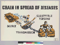 [recto] Chain in spread of diseases