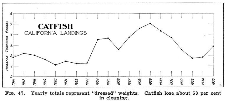 Catfish Classification Chart